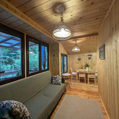Pod Jalowcem Nyaraló